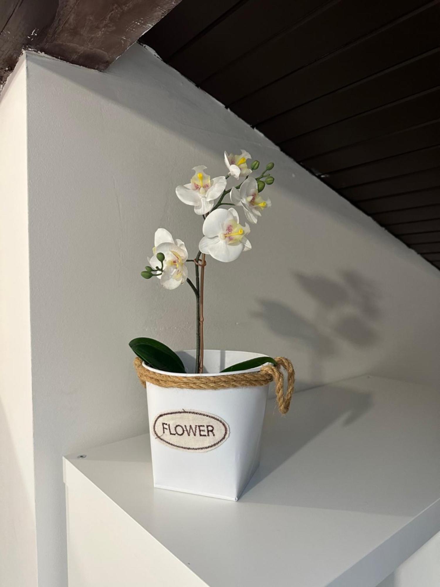 Apartmany Luxor Česká Lípa 외부 사진